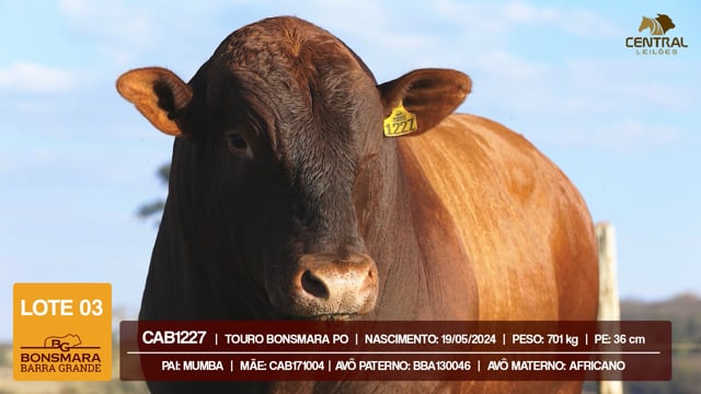 Lote 03