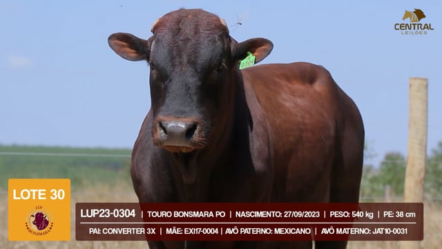 Lote 30