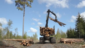 Related Embedded Video Item Thumbnail