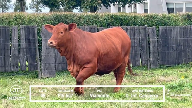 Lote 09
