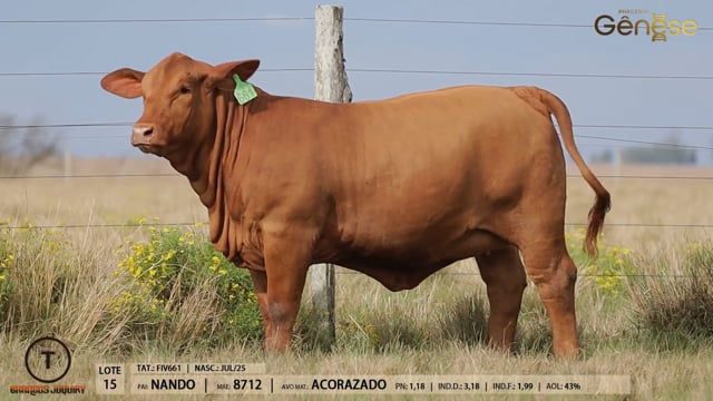 Lote 15