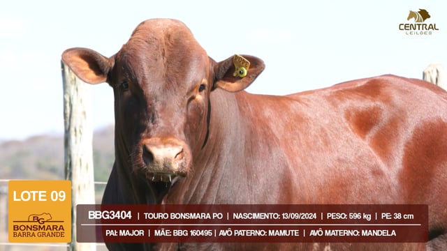 Lote 09
