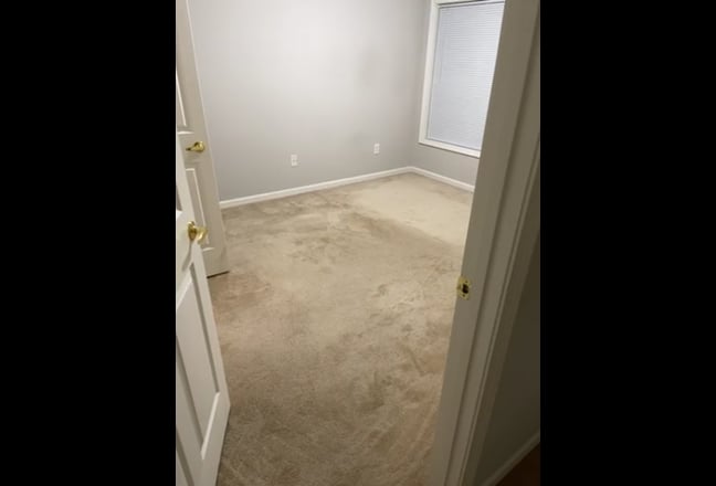 New Roommate Needed To Sign New Sept. Lease Main Photo