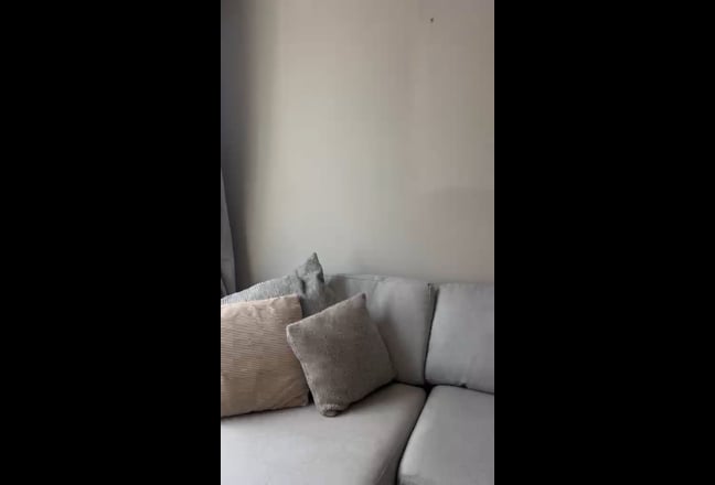 Video 1: 