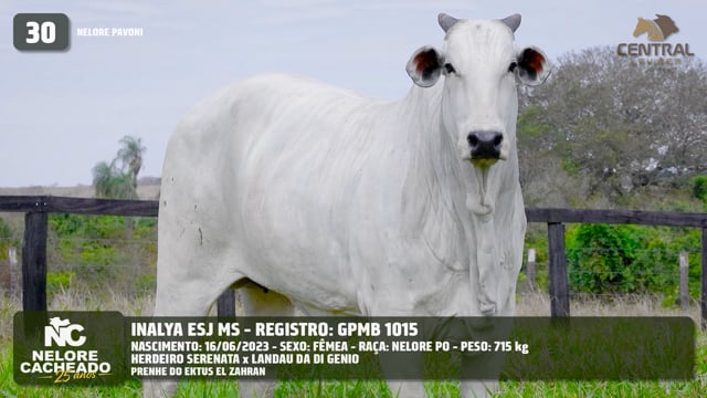 Lote 30