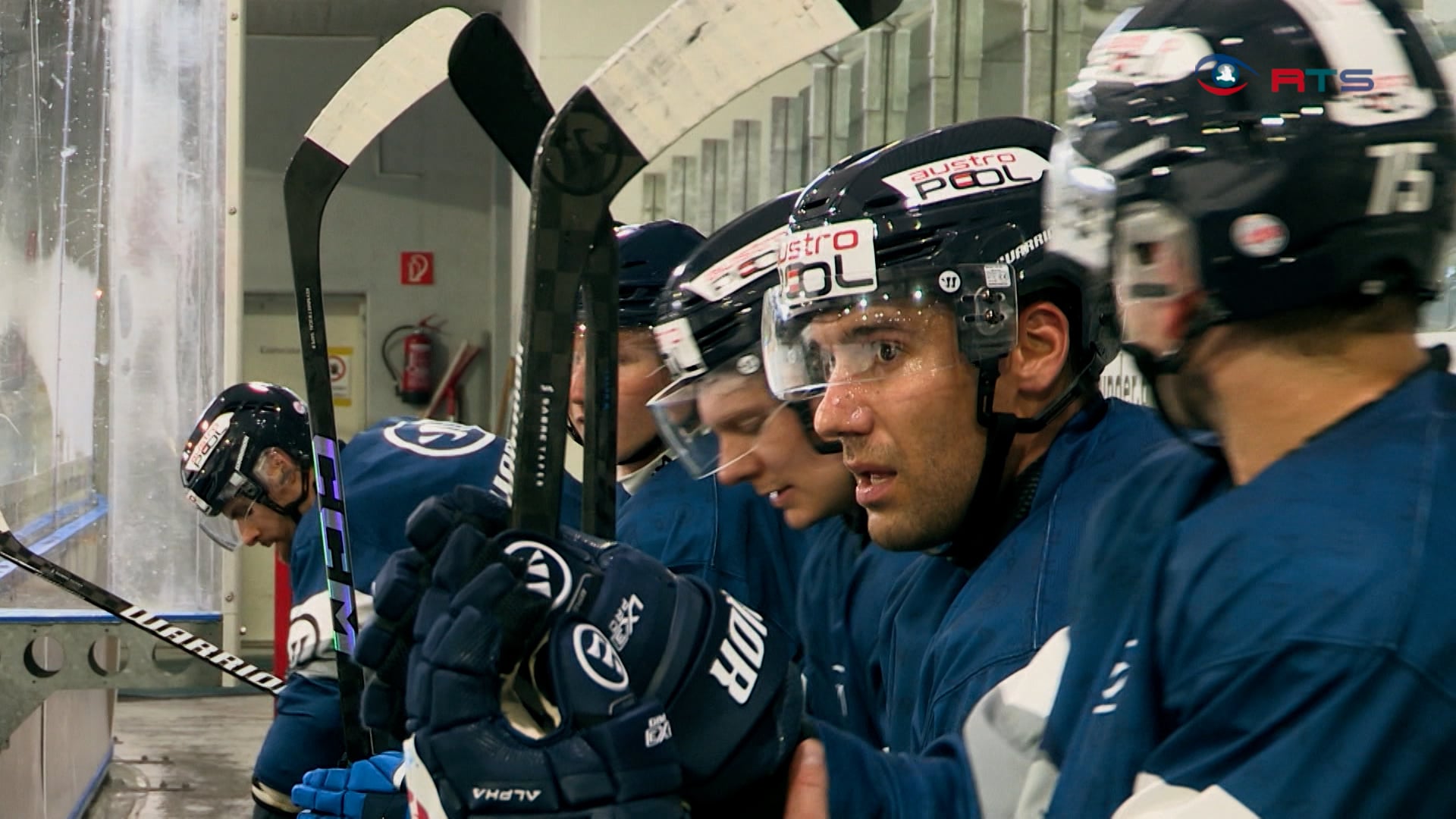 eisbaeren-praesentieren-neues-team