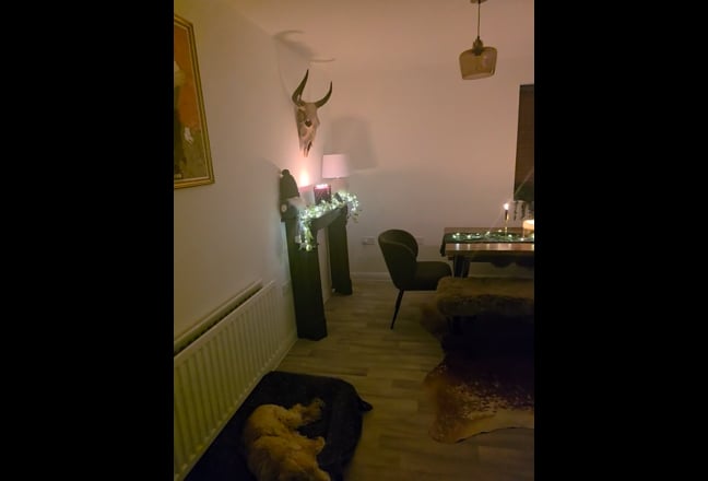 Video 1: 