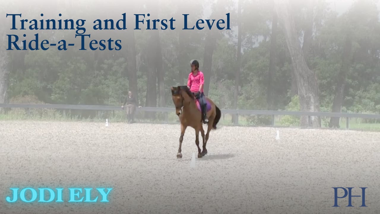 Training and First Level Ride-a-Tests | Jodi Ely