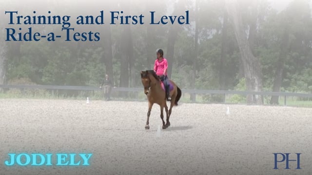 Training and First Level Ride-a-Tests | Jodi Ely