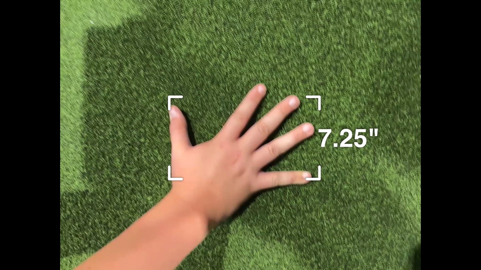 Watch Thaddeus Piton's Verified Hand Size: 7 in