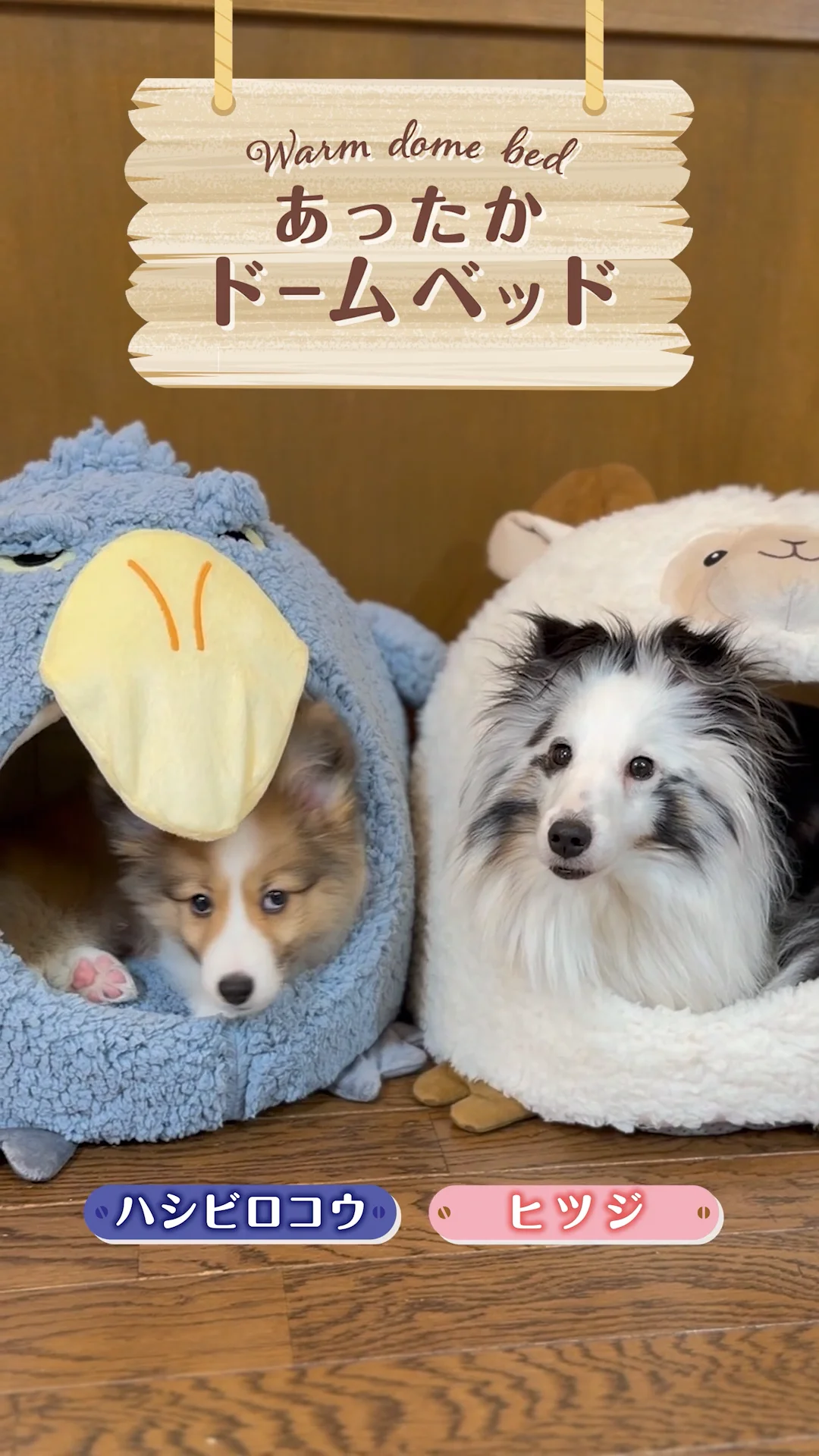 Add.Mate アドメイト 犬猫用ベッド あったかドームベッド ヒツジ
