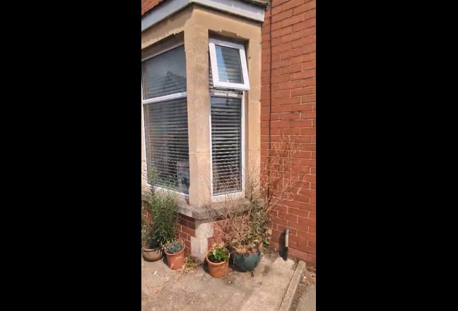 Video 1: 