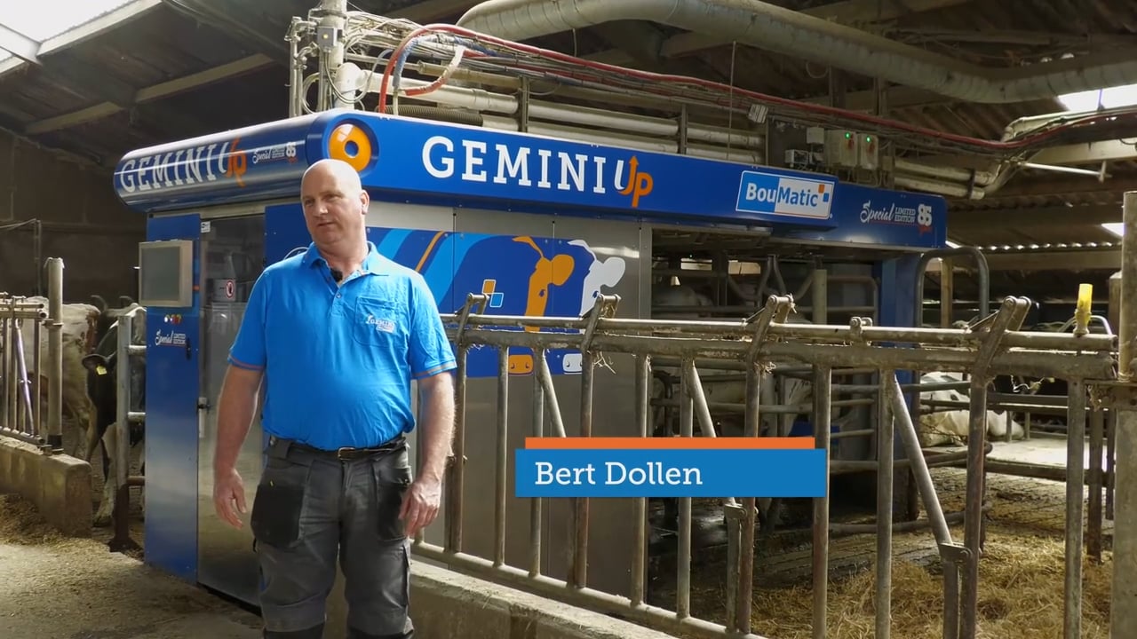 Dollen Wierden - GeminiUp (EN)