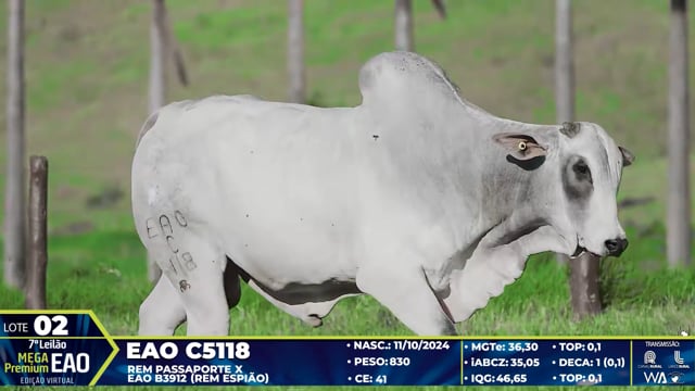 Lote 02