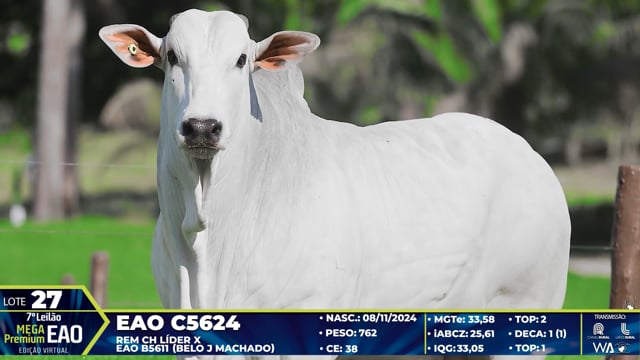 Lote 27