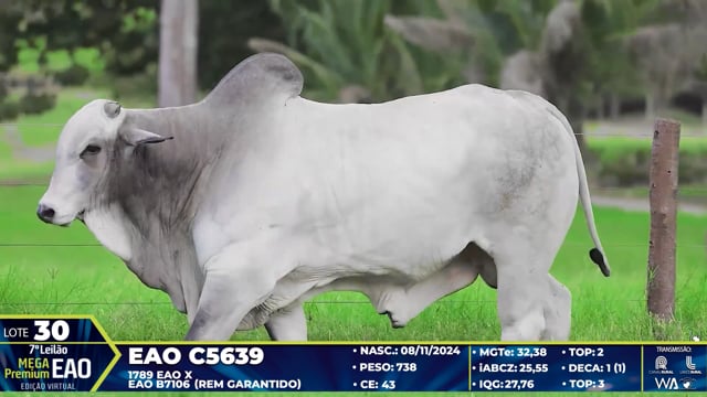 Lote 30