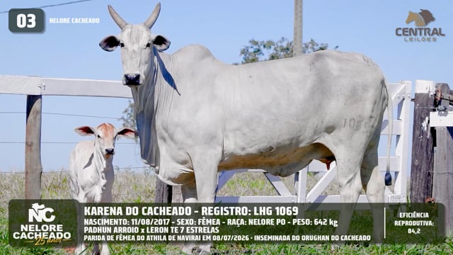 Lote 03