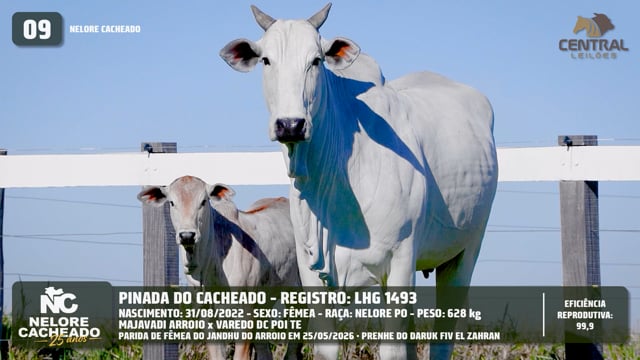 Lote 09