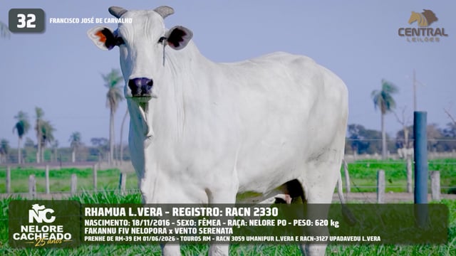 Lote 32