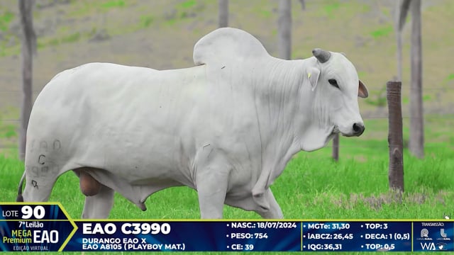 Lote 90