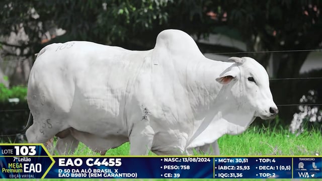 Lote 103
