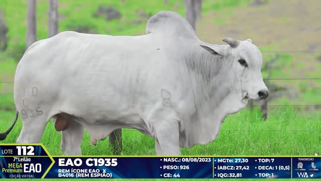 Lote 112