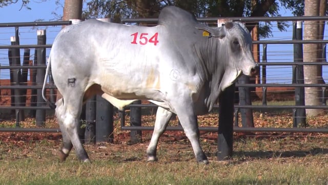 Lote 154
