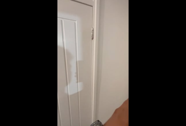 Video 1: 