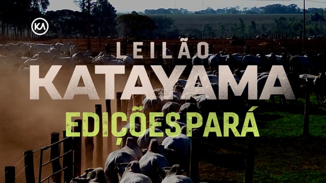 VT COMERCIAL