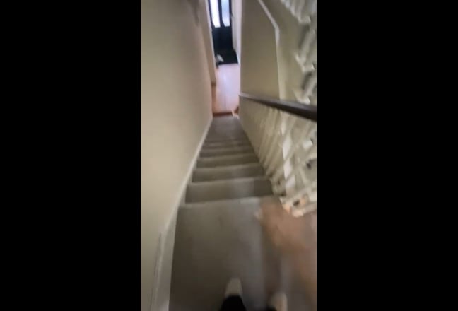 Video 1: 