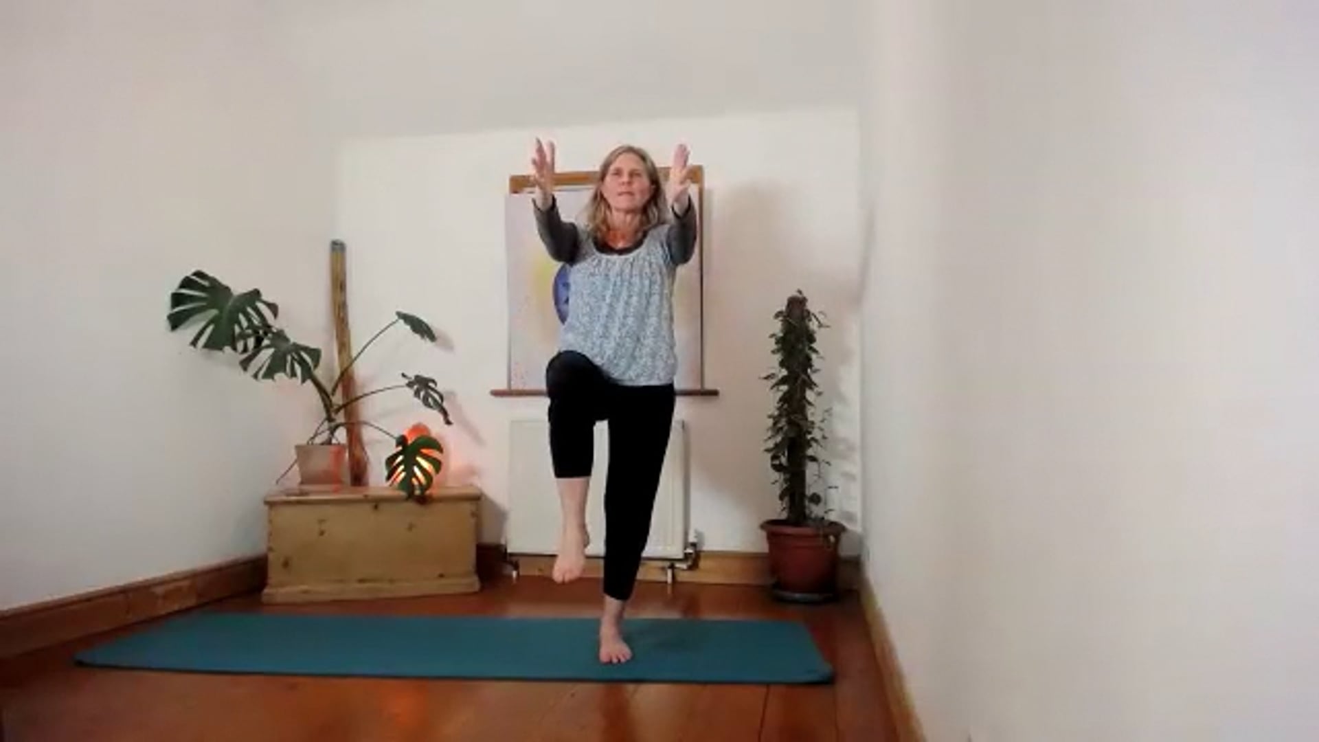 Multilevel wk1 Mobility