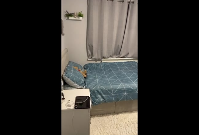 Video 1: 
