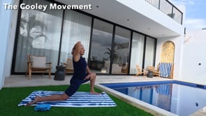 Related Embedded Video Item Thumbnail
