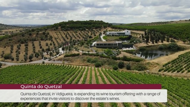 EP 107 | Wine Tourism News