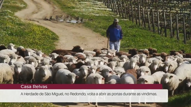 EP 108 | Not&iacute;cias do Enoturismo