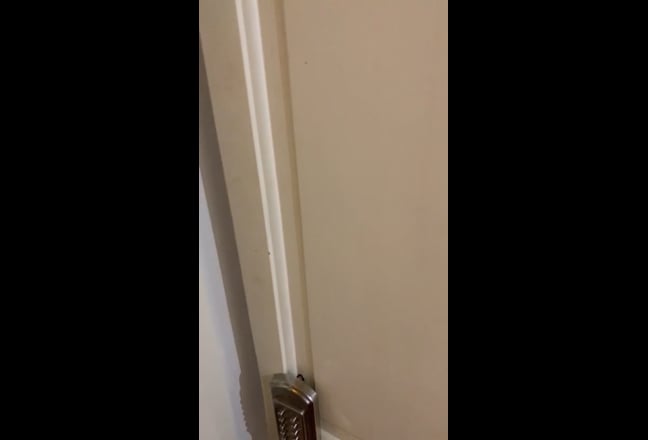 Video 1: 