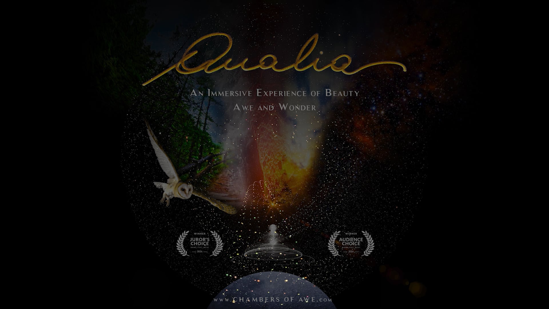QUALIA ~ Testimonials / 30 sec.
