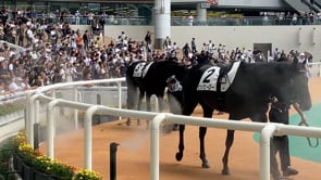 動画サムネイル