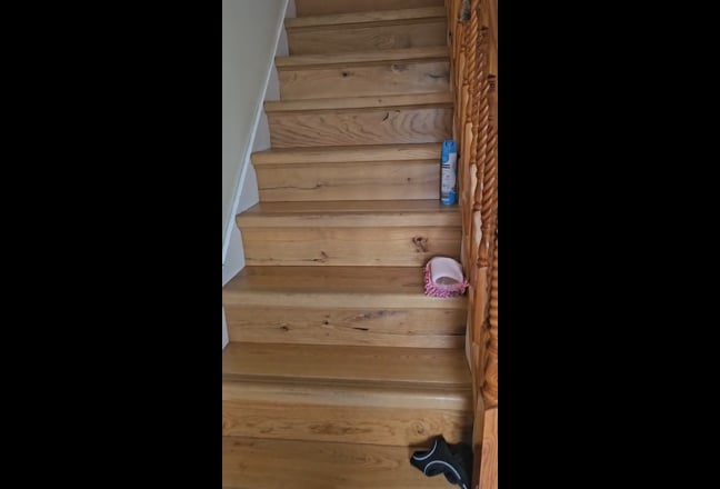 Video 1: 