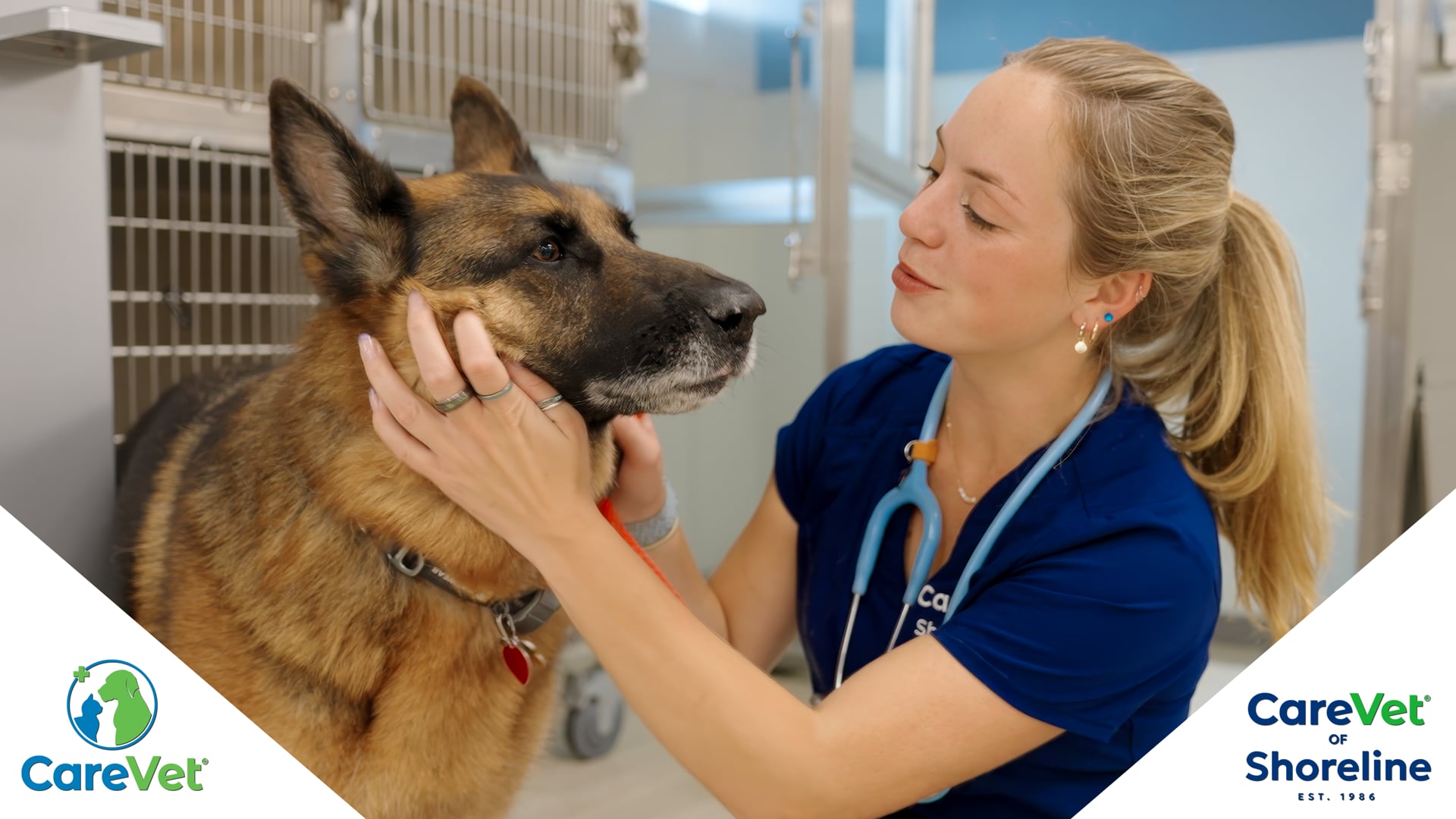 CareVet Shoreline - Hosiptal Tour Commercial