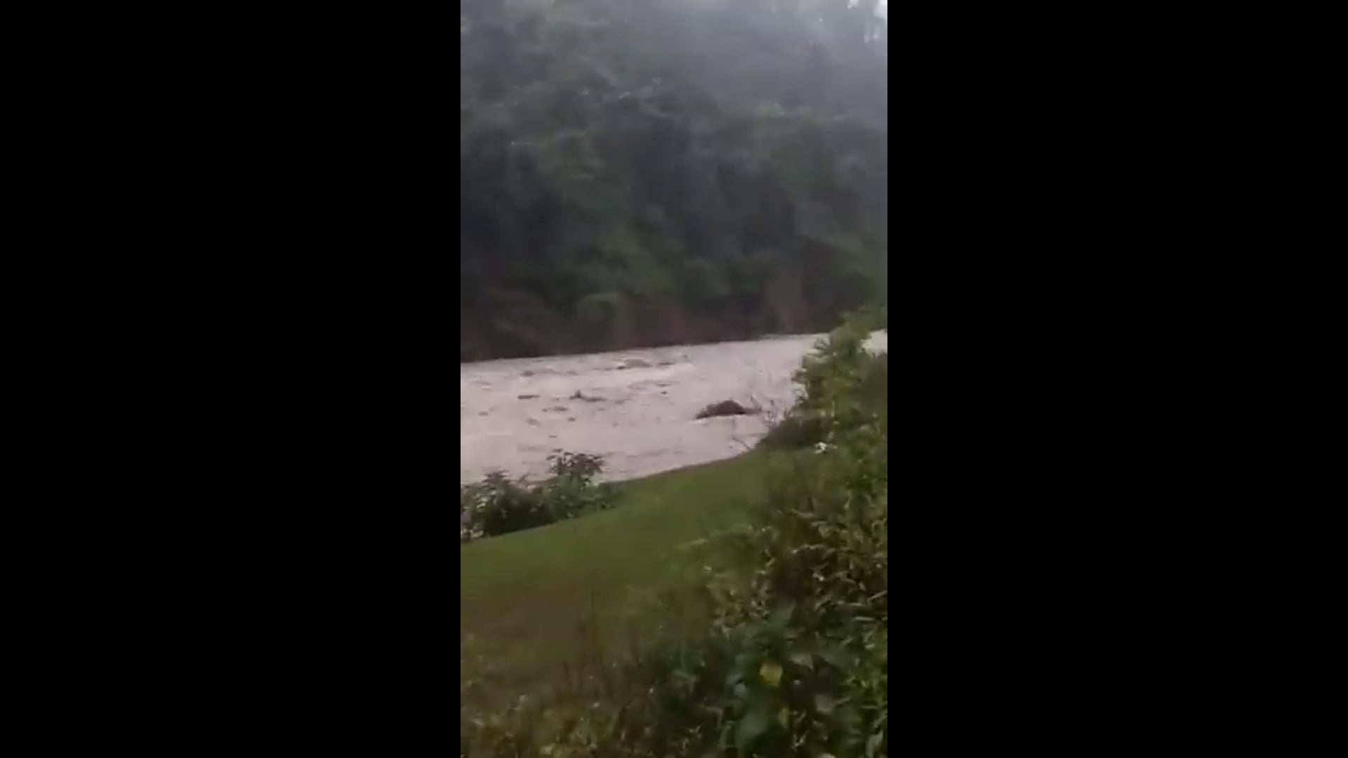 उत्तराखंड-
देहरादून के जैंतनवाला में बारिश के बाद नून नदी उफान पर आ गई और तेज बहाव के बीच महिंद्रा पिकअप