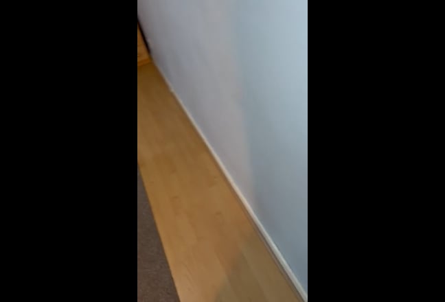 Video 1: 
