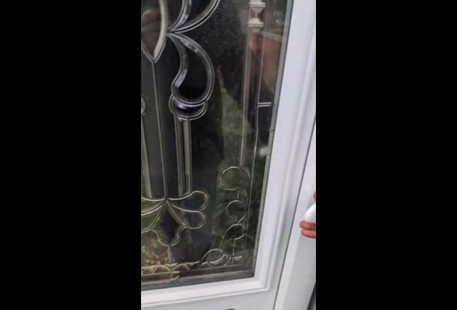 Video 1: 