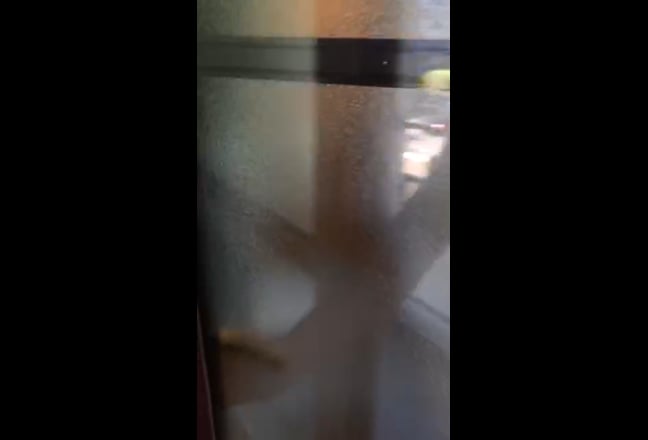 Video 1: 
