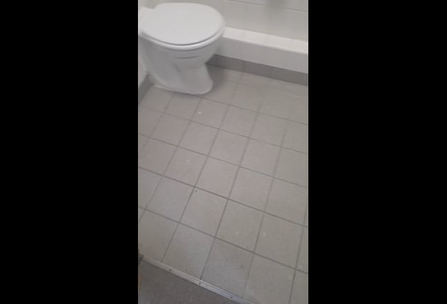 Video 1: 