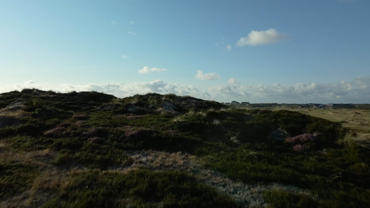 Heide und Dünen bei Hörnum auf Sylt im Abendlicht