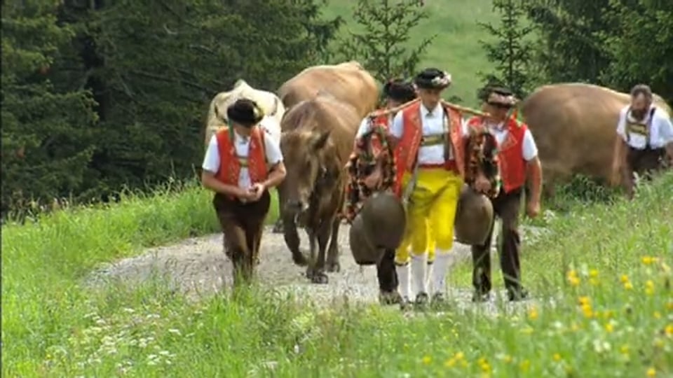 Preview: Trailer 'Uf de Bollewees'