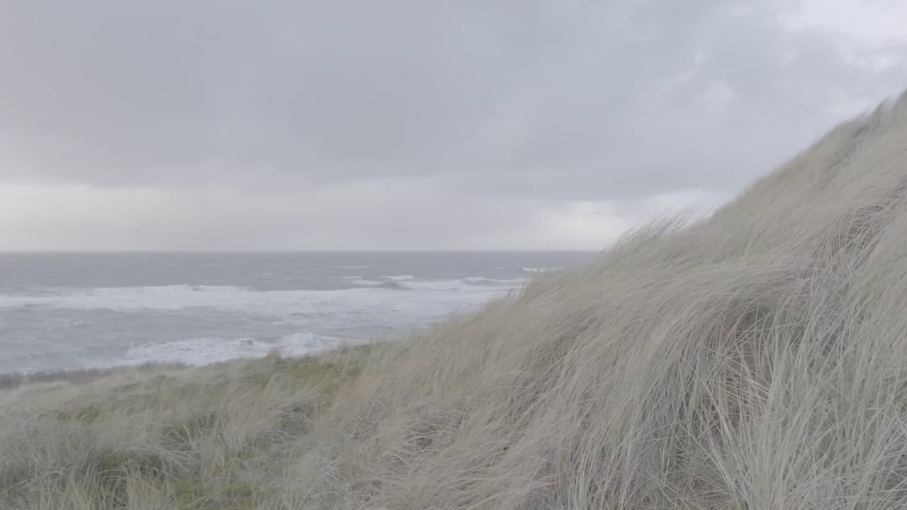 Brandung und Dünen an der Sylter Westküste im Winter