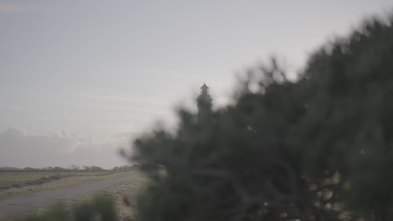 Leuchtturm auf Sylt im Dunst hinter Sanddorn