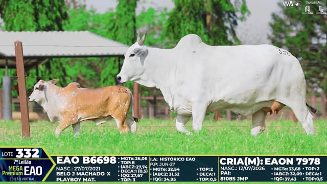 Lote 332